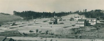 1964.3