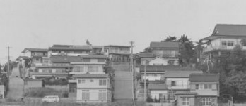 1966.3