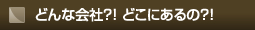 どんな会社?!どこにあるの?!