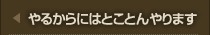 やるからにはとことんやります