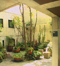 218 HOUSE 半地下階プラザ